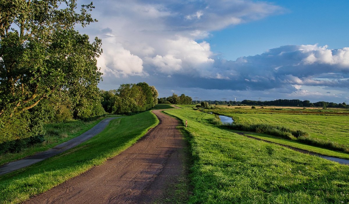 Mindful Photography Walks for Everyday Adventurers