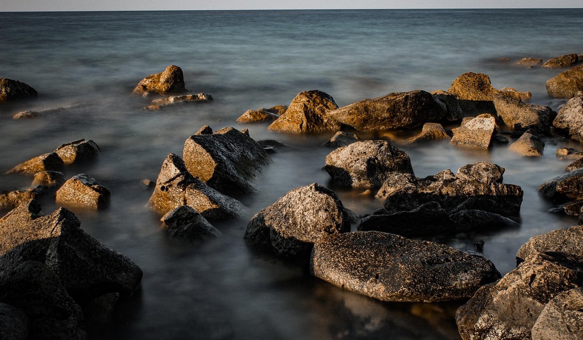 A Beginner's Guide to Birdwatching on Estuaries